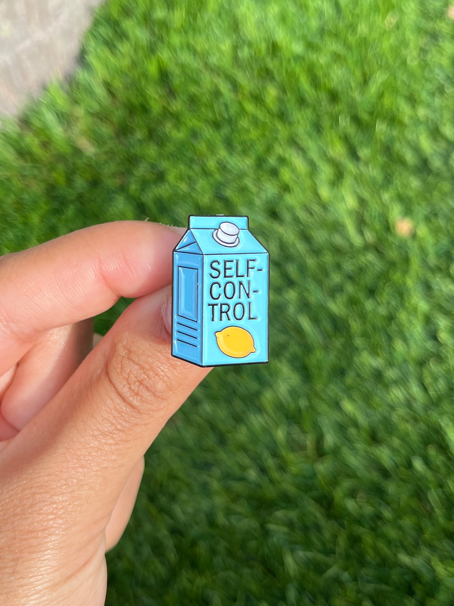 Fruit of Spirit Pin