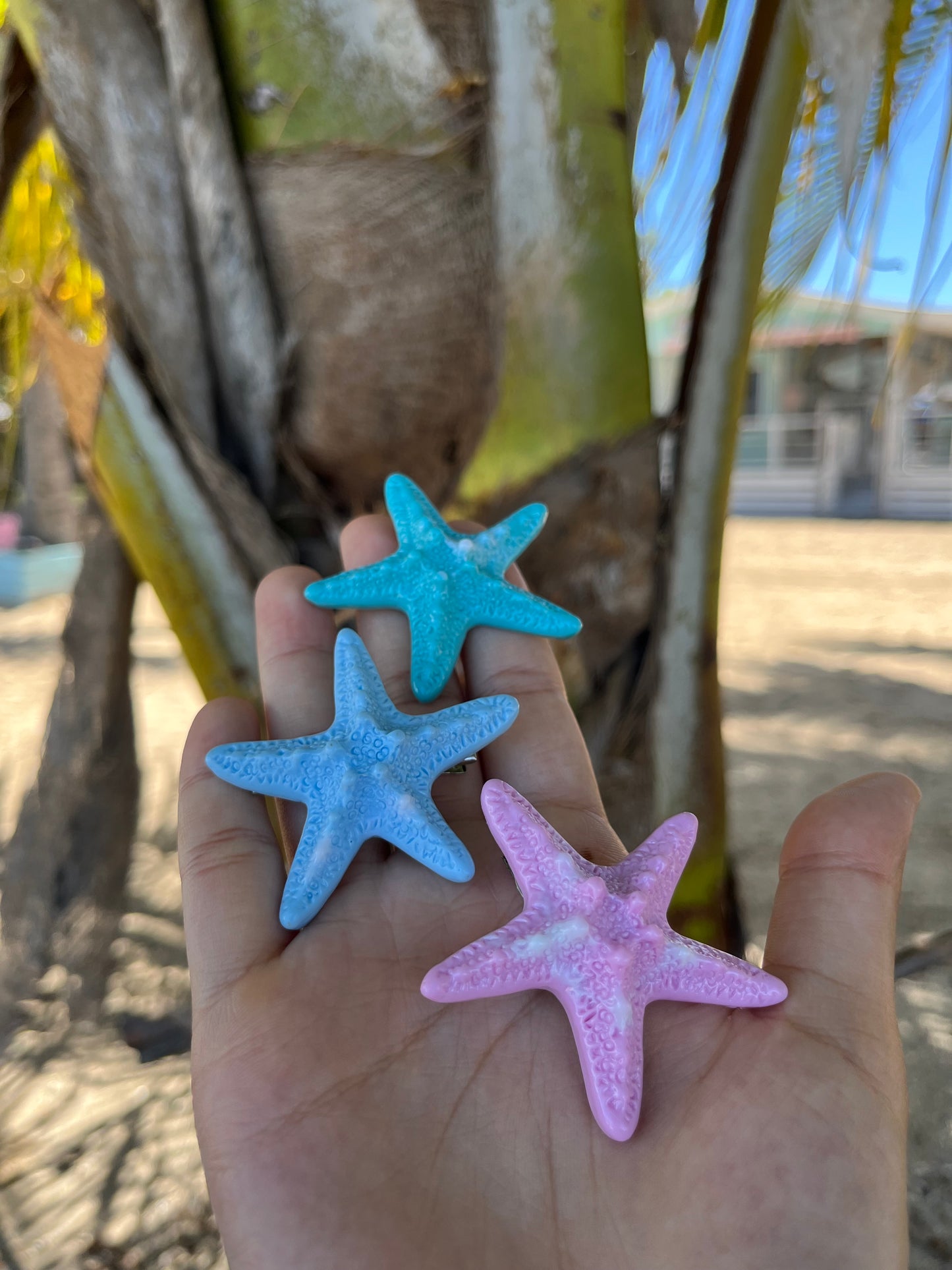 Starfish Clip