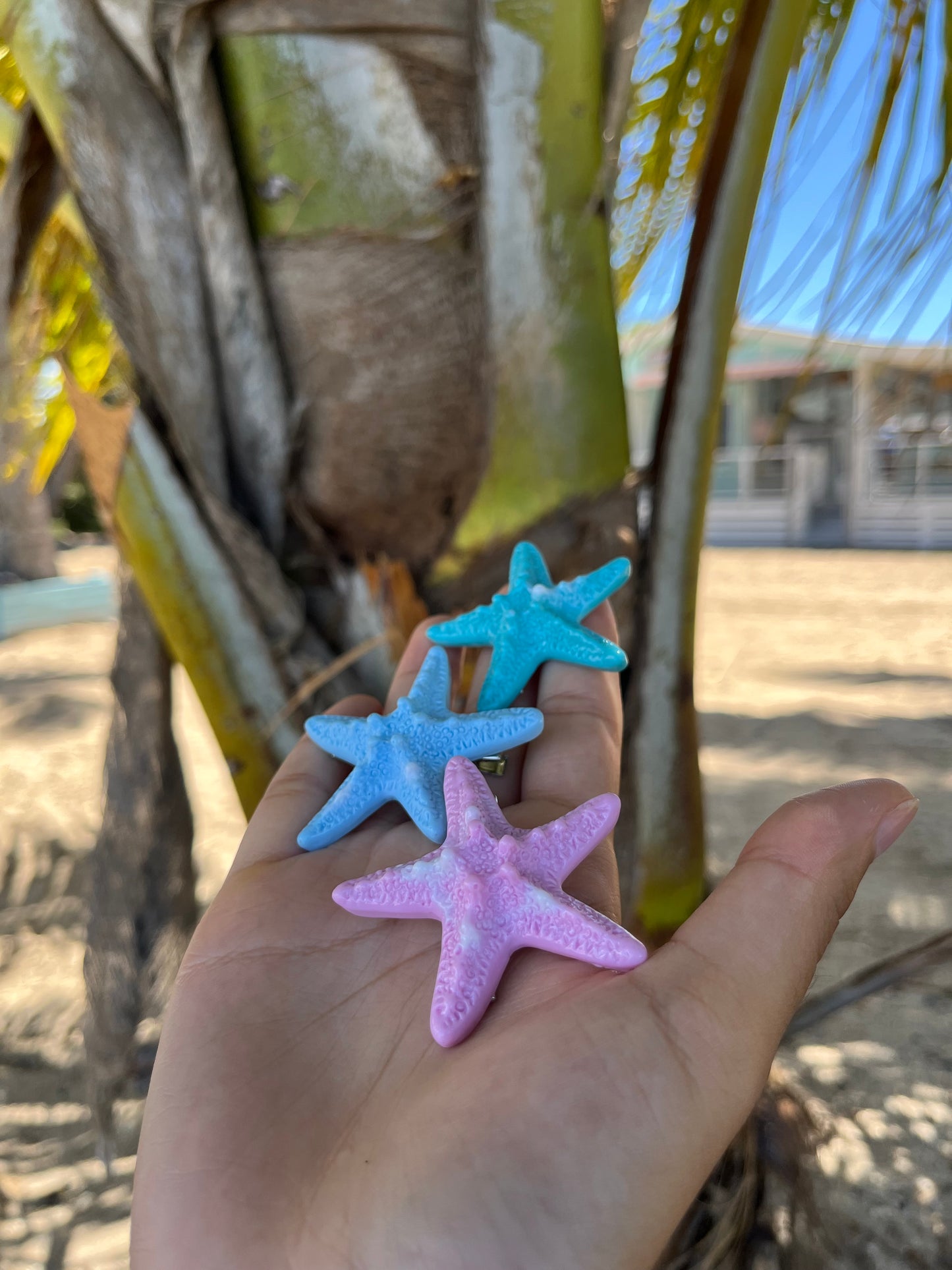 Starfish Clip