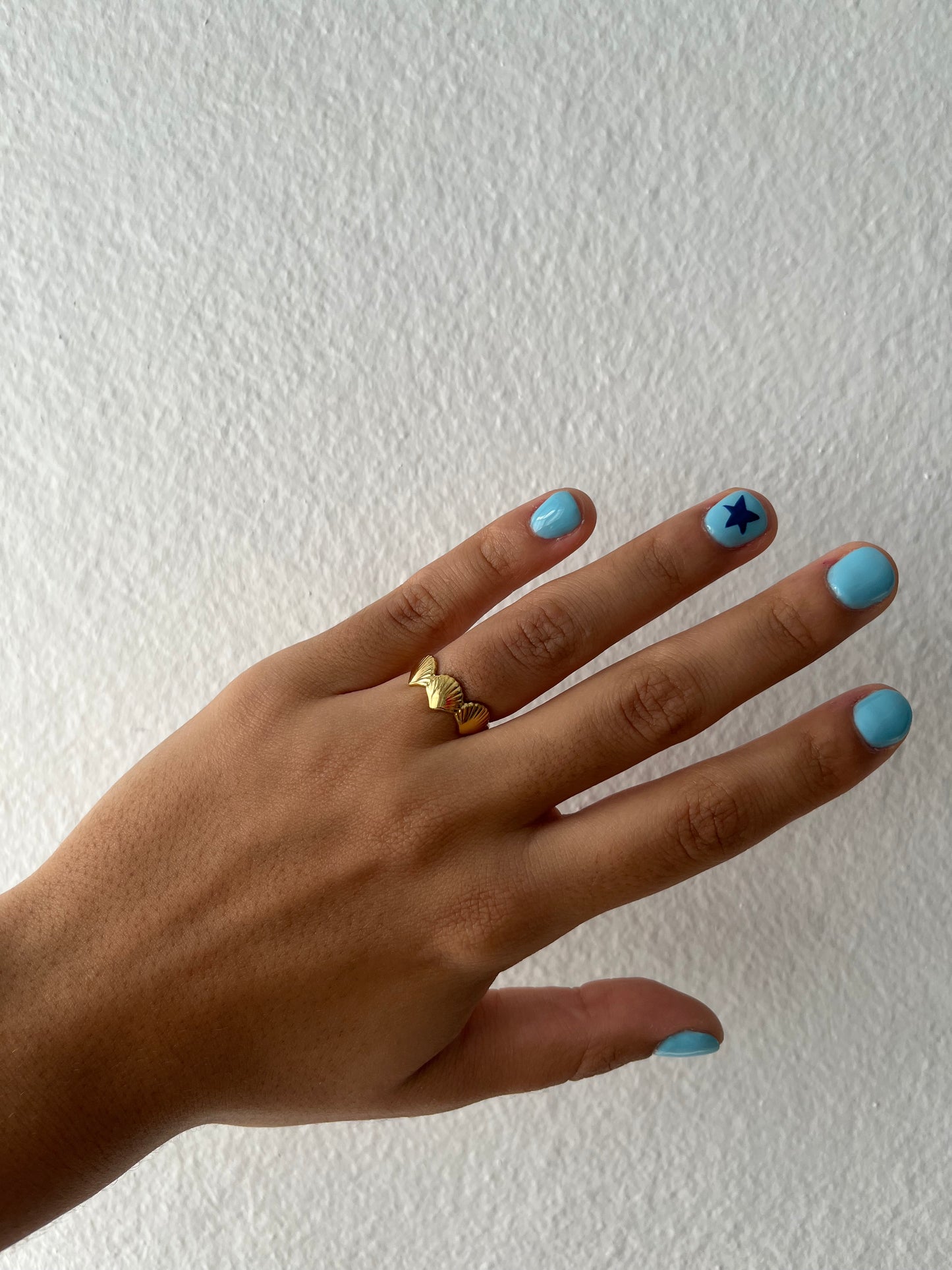 3 Shell Ring