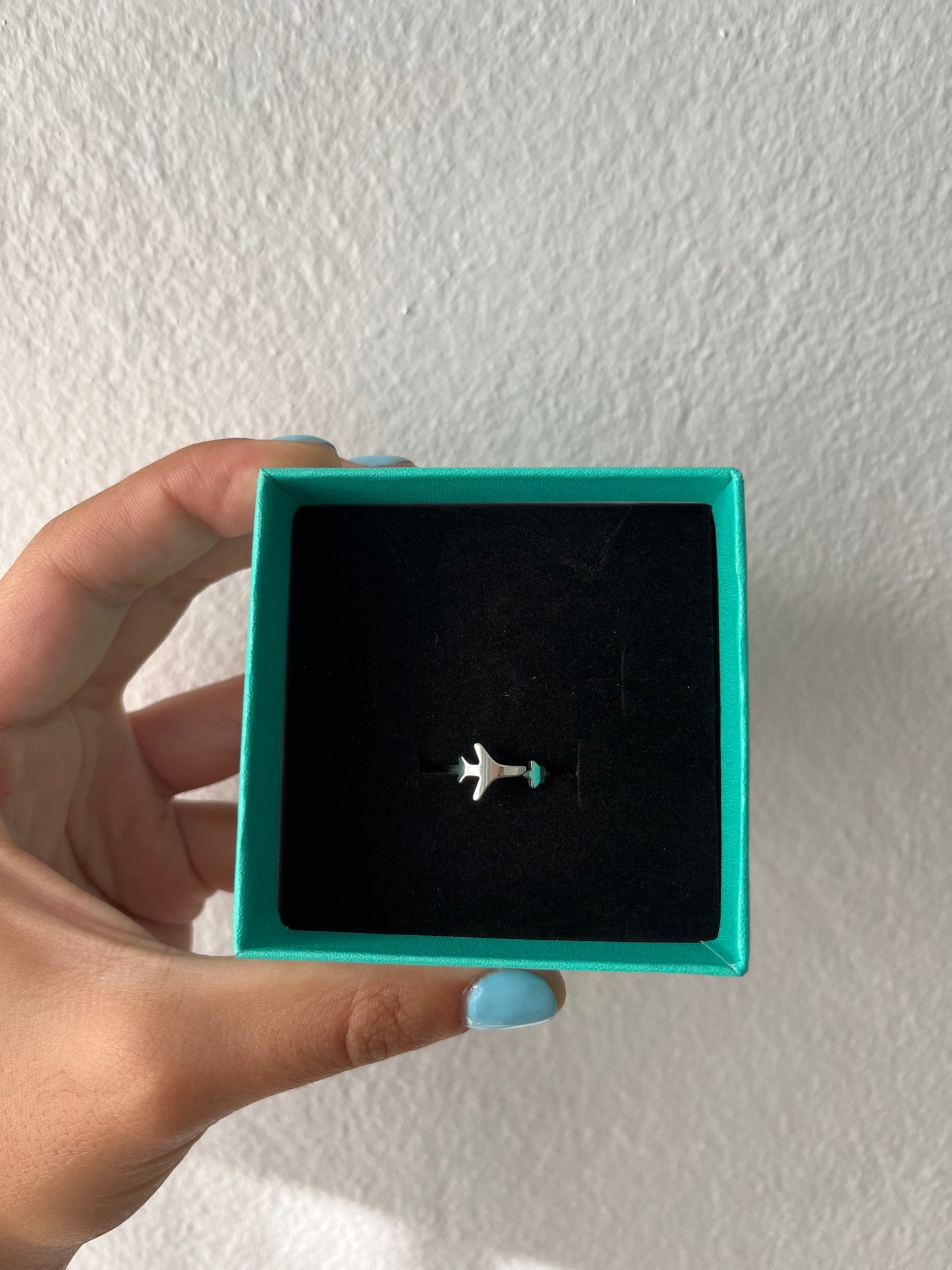 Airplane Ring