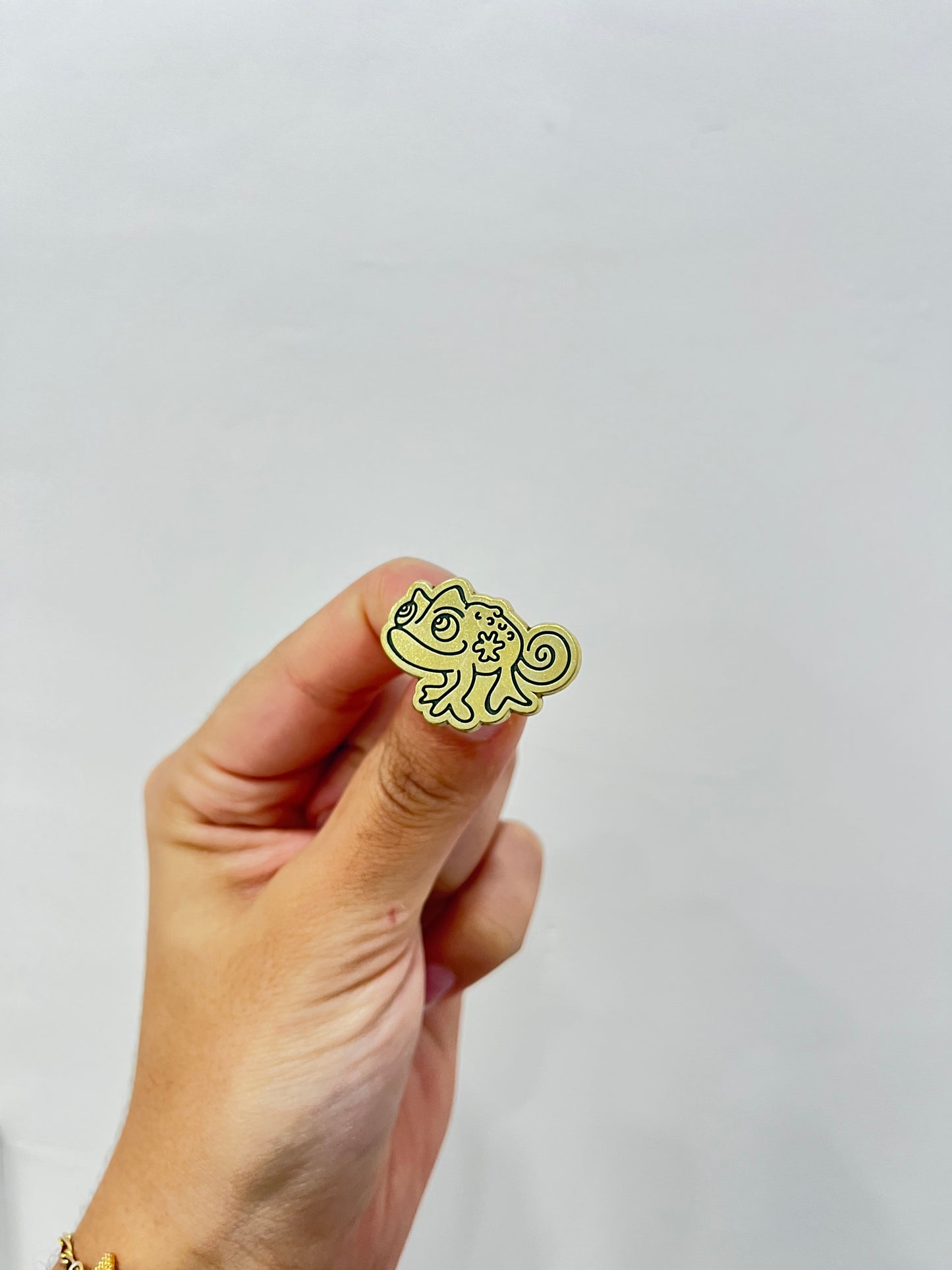 Rapunzel Items Pin