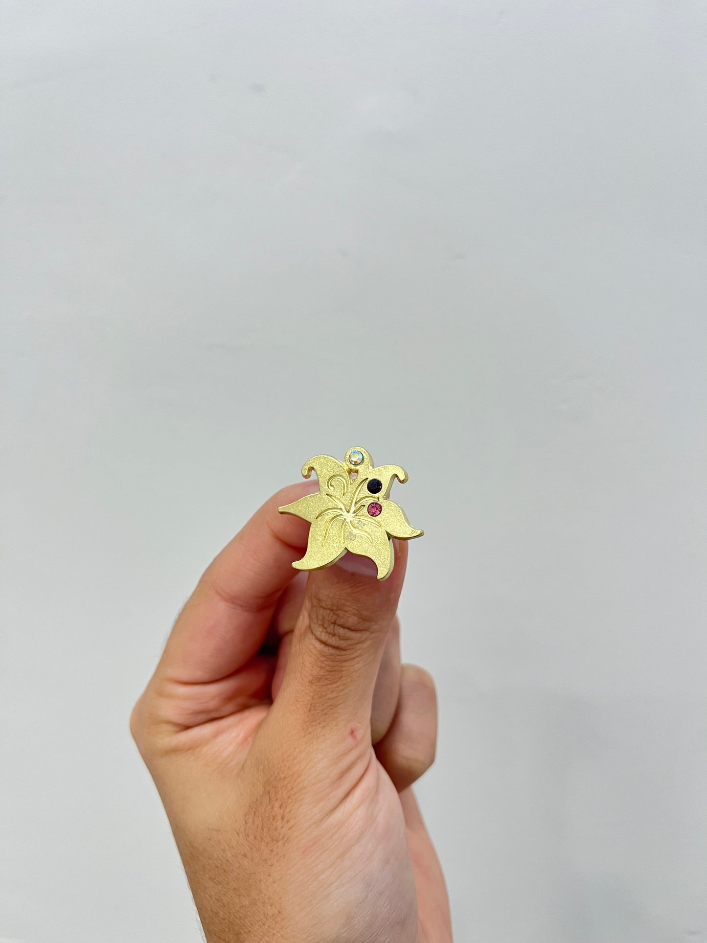 Rapunzel Items Pin