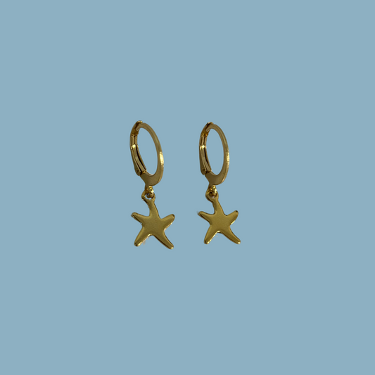 Playeras Earrings