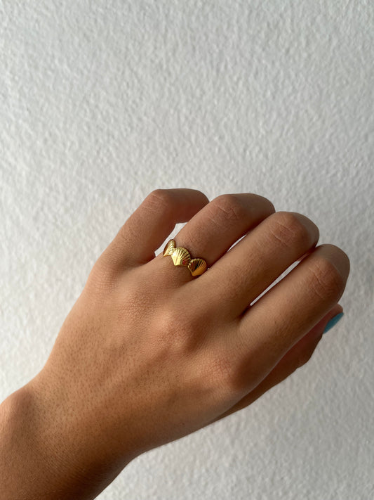3 Shell Ring