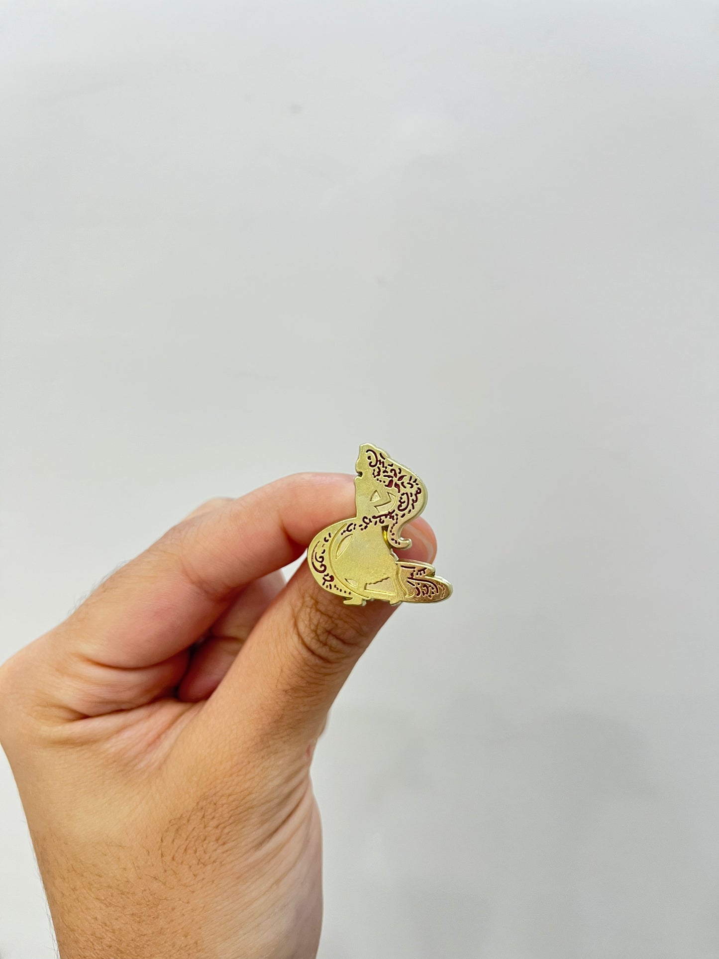 Rapunzel Items Pin